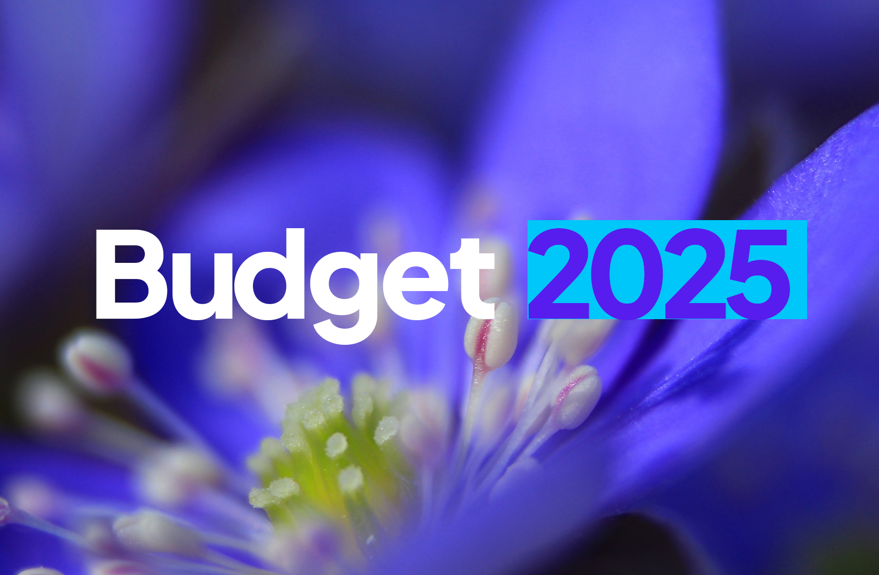 Budget 2025 En kommun som lägger pengar på rätt saker SD Örebro