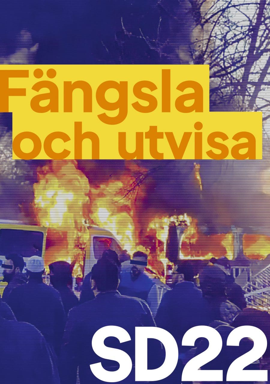 Vad Vi Vill - Sverigedemokraterna